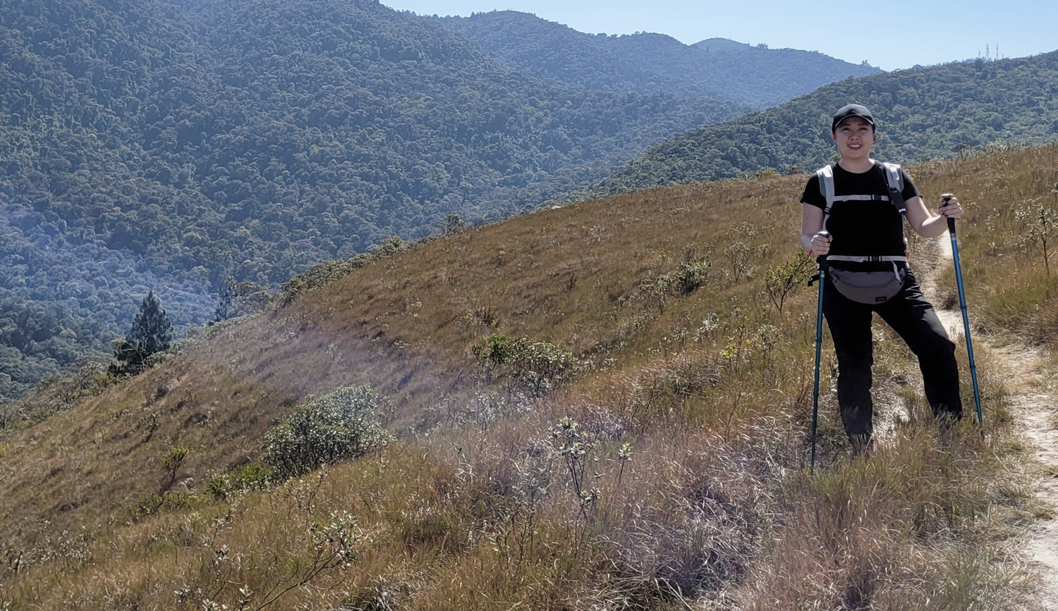 Ilustração do Manifesto