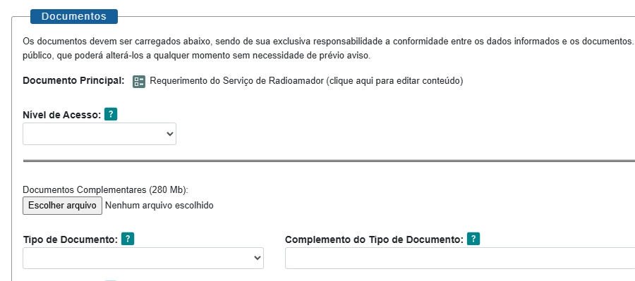 Tela do Requerimento SEI